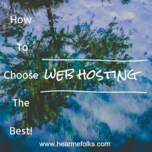 web hosting provider